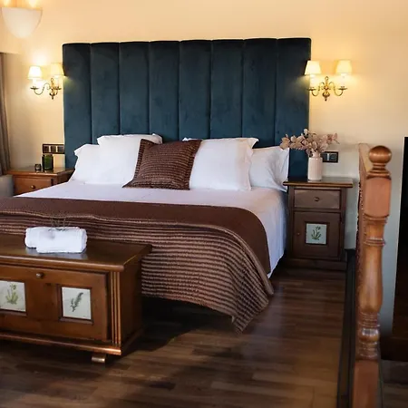 Hotel Roger De Flor By Seleqtta